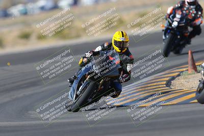 media/Feb-04-2023-SoCal Trackdays (Sat) [[8a776bf2c3]]/Turn 11 (945am)/